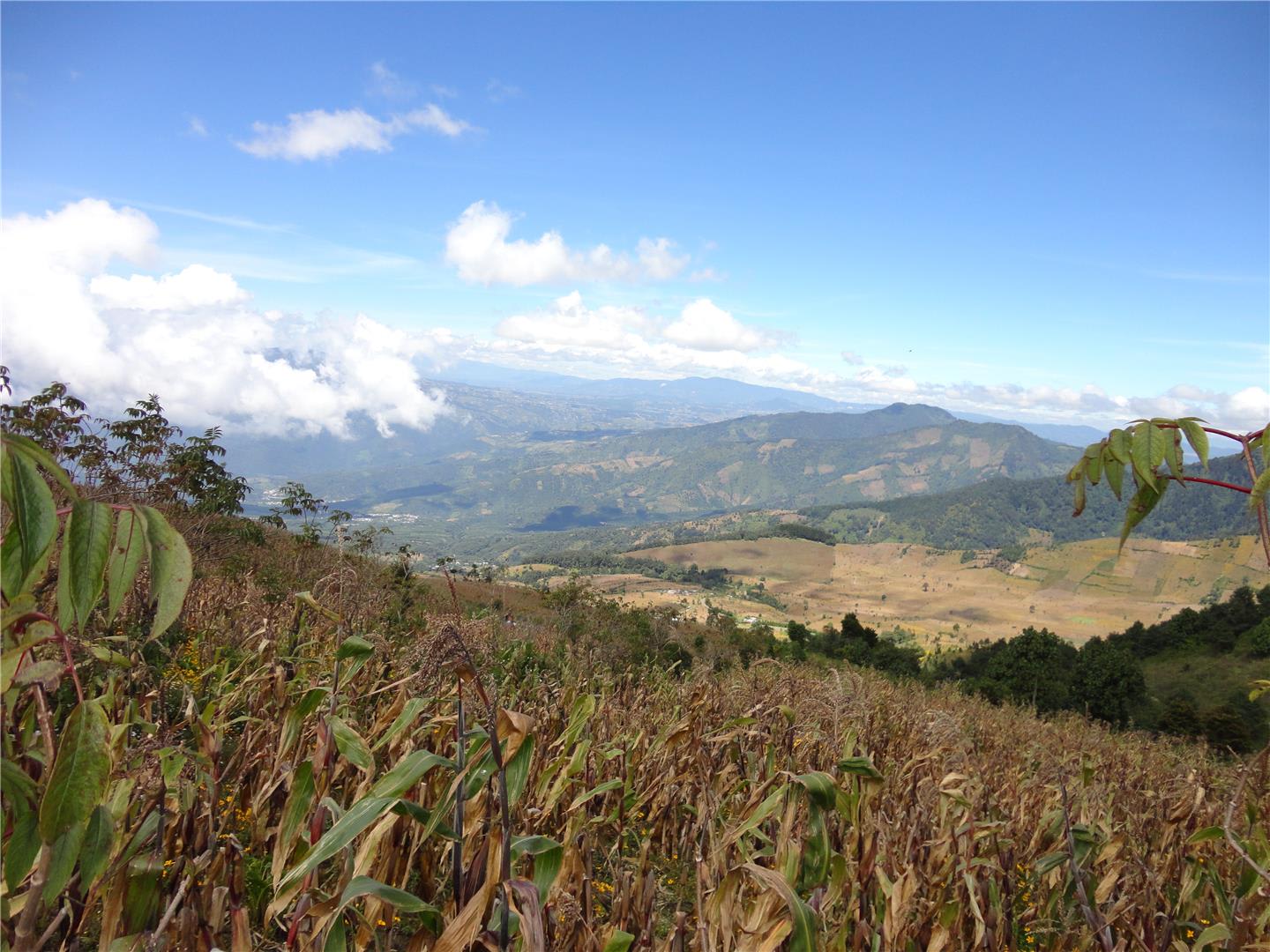 tourhub | Bamba Travel | Acatenango Hike 2D/1N 