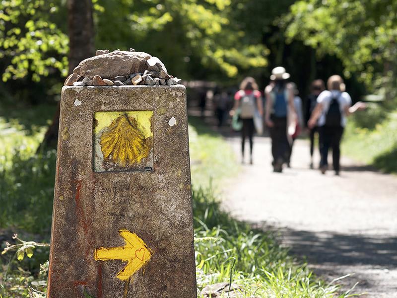 tourhub | Bamba Travel | Camino de Santiago Walking Experience 7D/6N (from Sarria) 