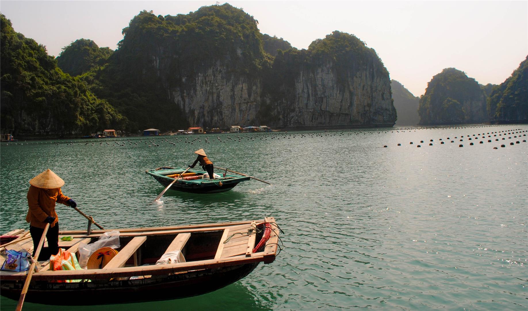 tourhub | Bamba Travel | Halong Bay Cruise 2D/1N 