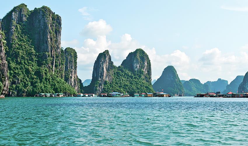 tourhub | Bamba Travel | Halong Bay Party Cruise 2D/1N (from Hanoi) 