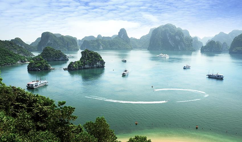 tourhub | Bamba Travel | Halong Bay Party Cruise 2D/1N (from Hanoi) 