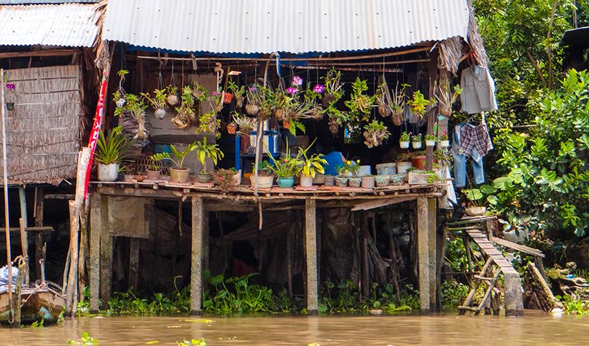 tourhub | Bamba Travel | Mekong Delta Highlights Adventure 2D/1N 