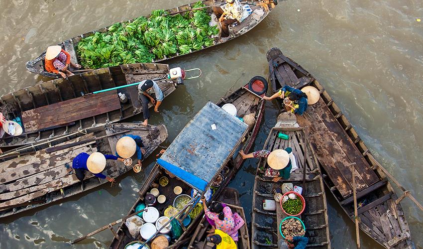 tourhub | Bamba Travel | Mekong Delta Highlights Adventure 2D/1N 