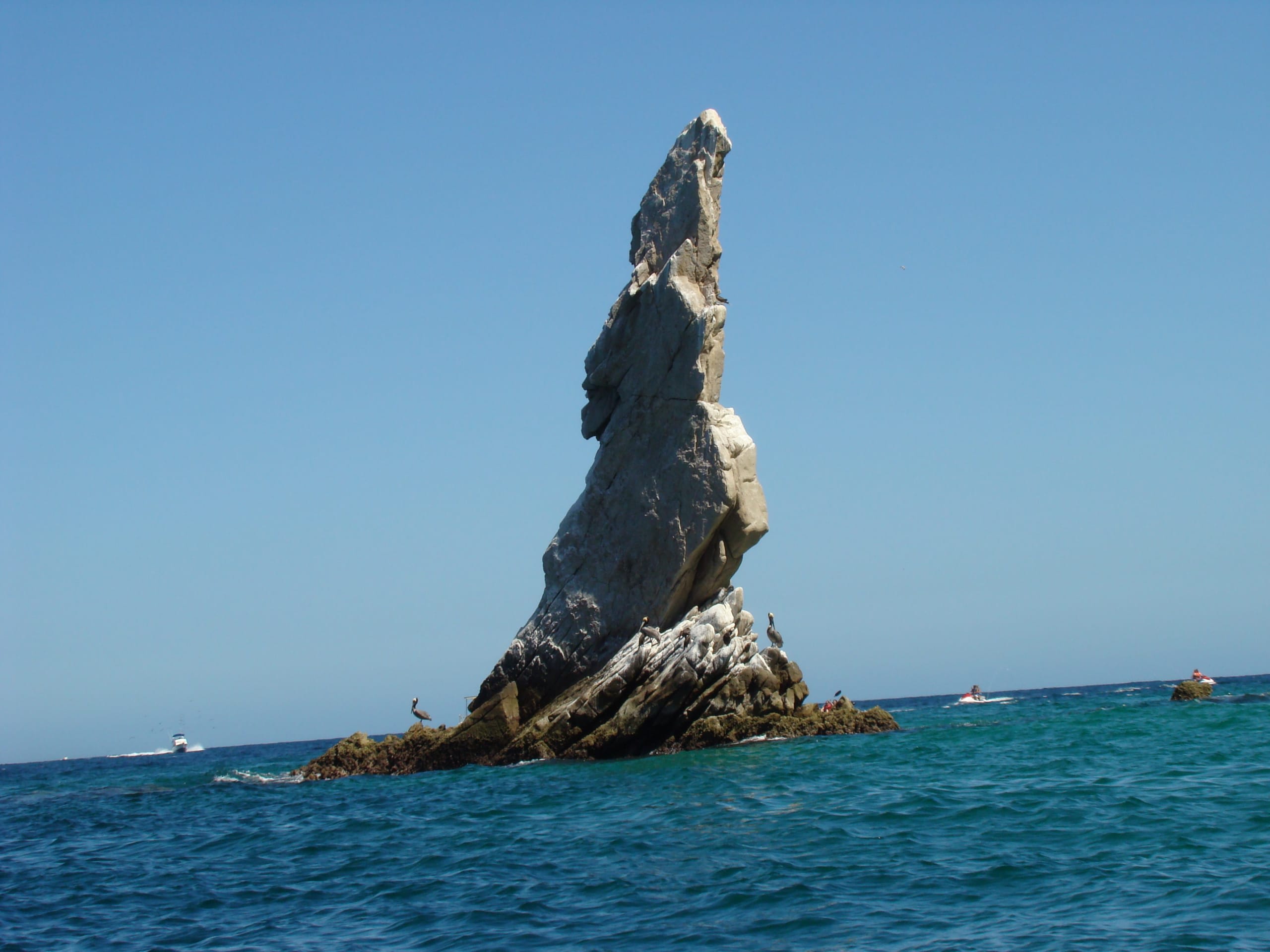 tourhub | Bamba Travel | Baja Marine Majesty & La Paz-Los Cabos Journey 5D/4N 