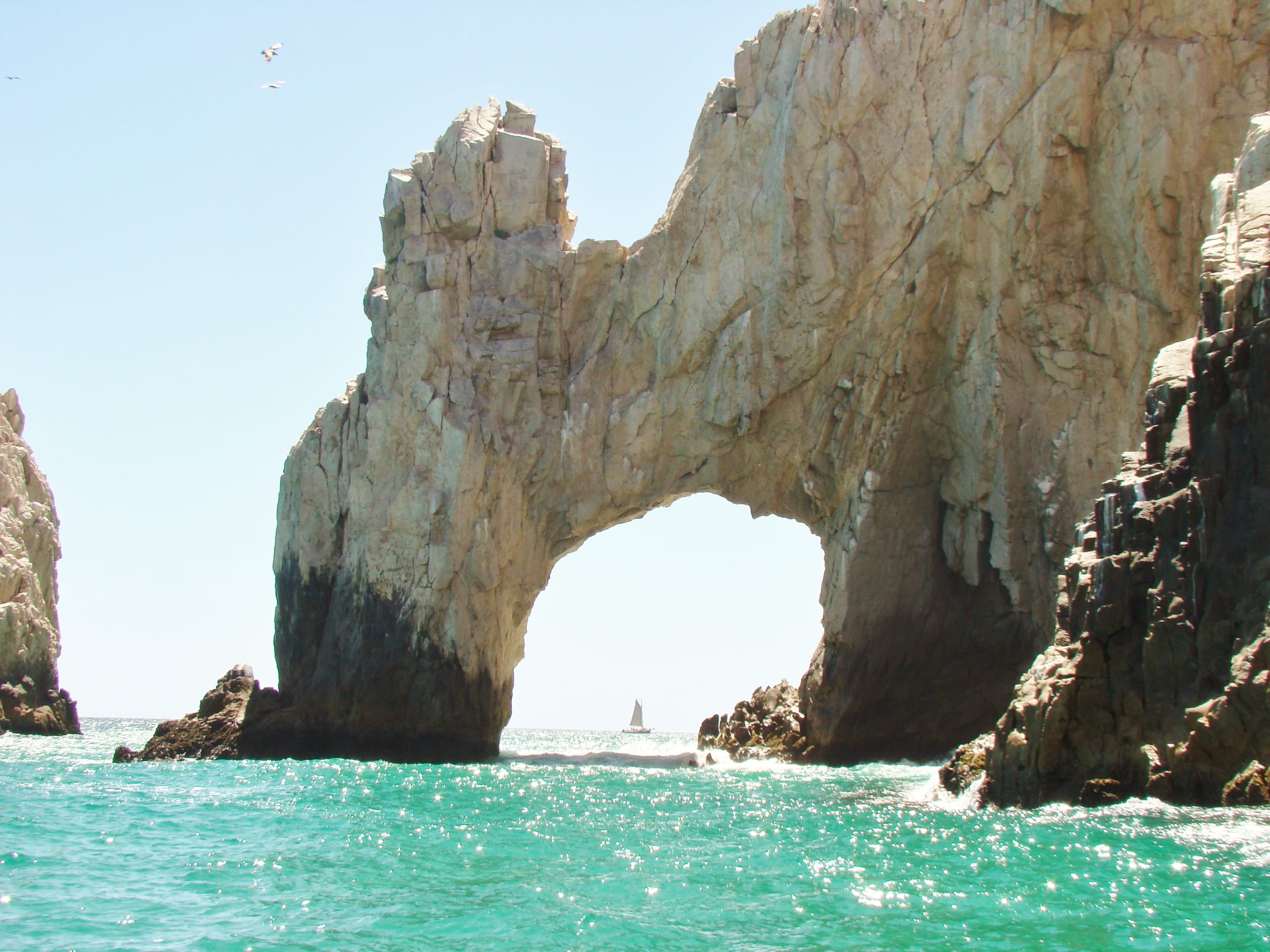 tourhub | Bamba Travel | Baja Marine Majesty & La Paz-Los Cabos Journey 5D/4N 