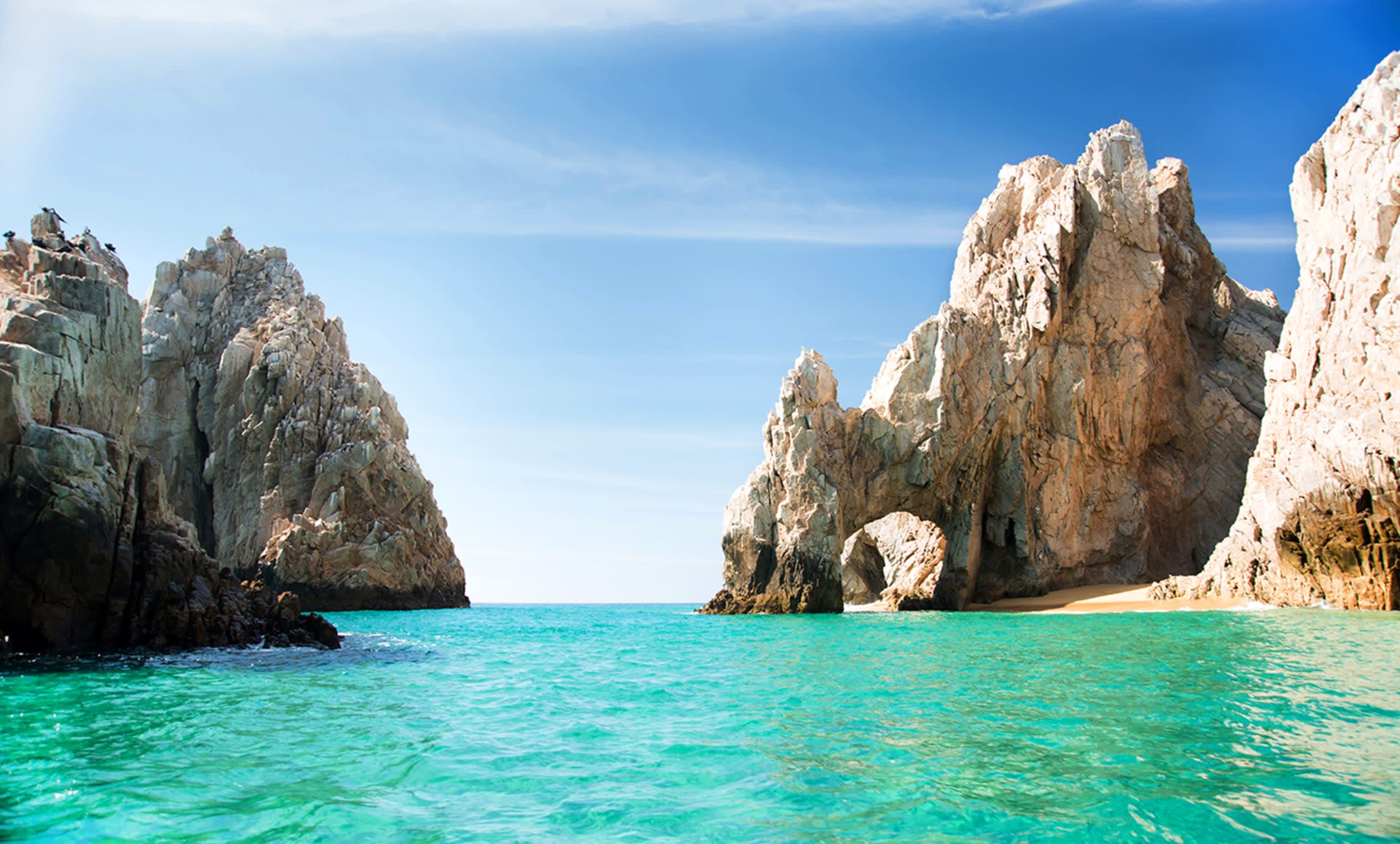 tourhub | Bamba Travel | Baja Marine Majesty & La Paz-Los Cabos Journey 5D/4N 