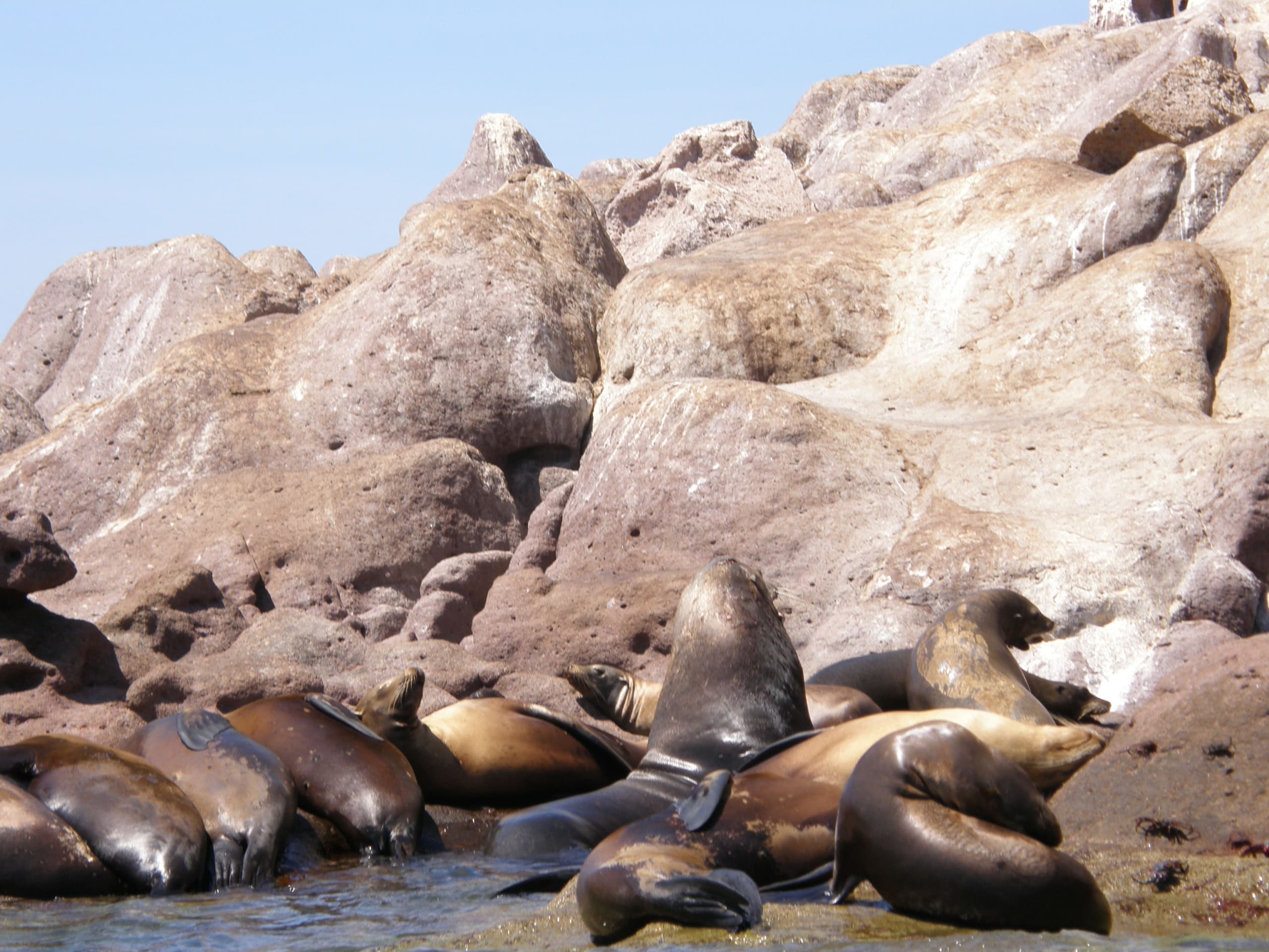 tourhub | Bamba Travel | Baja's Artistic Tapestry & La Paz Seascapes 5D/4N 