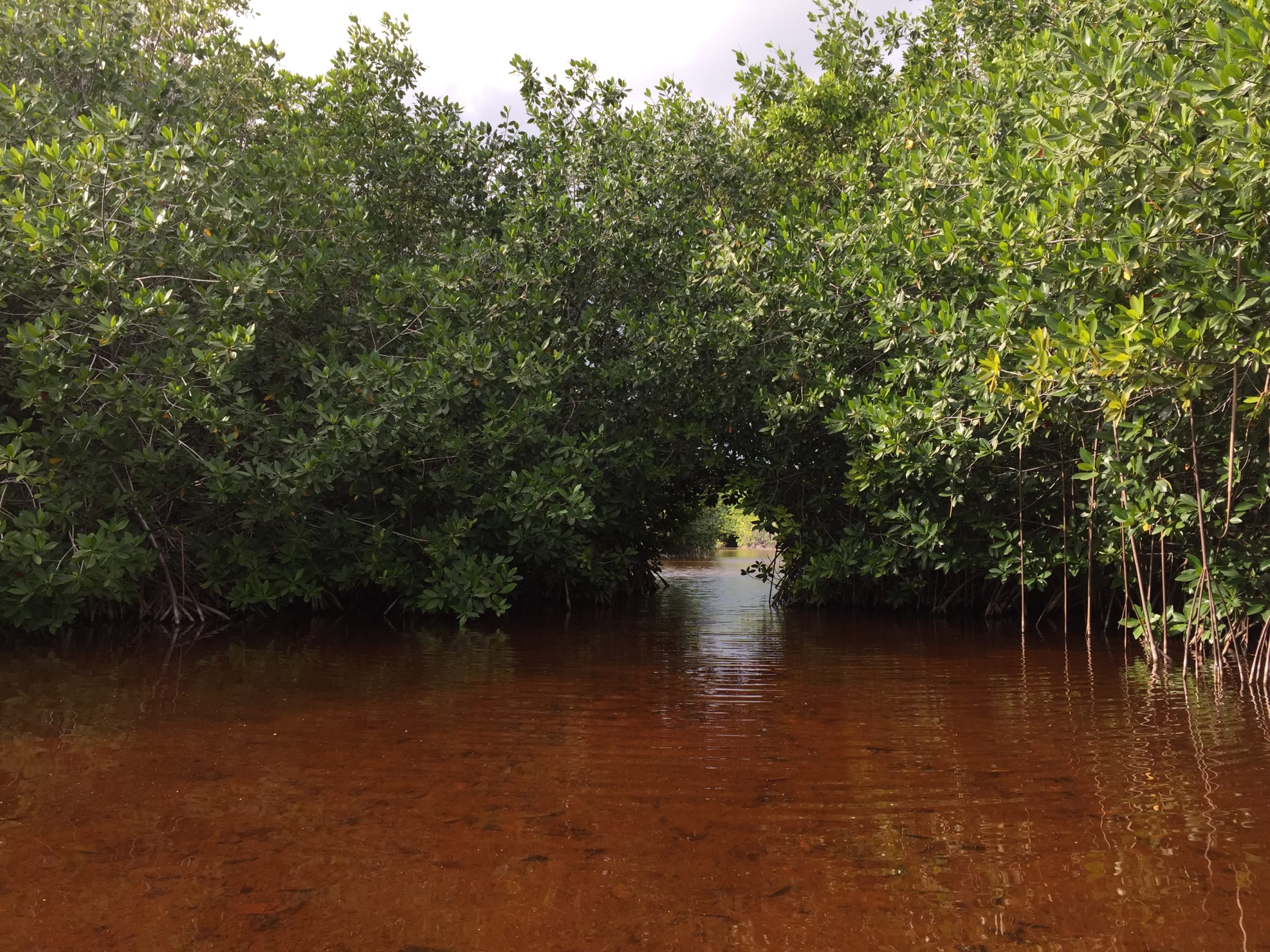 tourhub | Bamba Travel | Yucatan Panorama: Cultural Wonders & Beachfront Bliss 10D/9N 