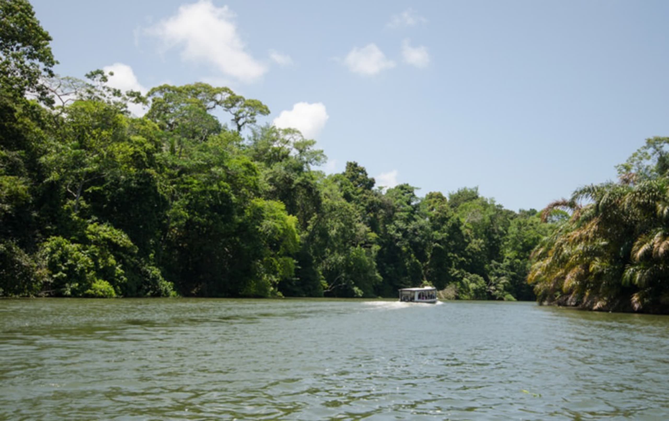 tourhub | Bamba Travel | Tortuguero Trails & Pacuare Rapids 4D/3N 