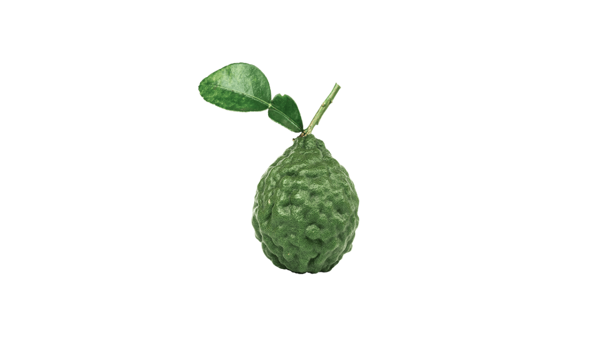 Bergamot ING