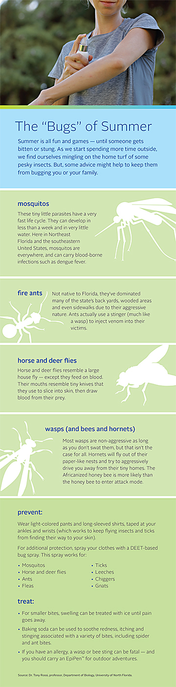 Bugs of Summer infographic