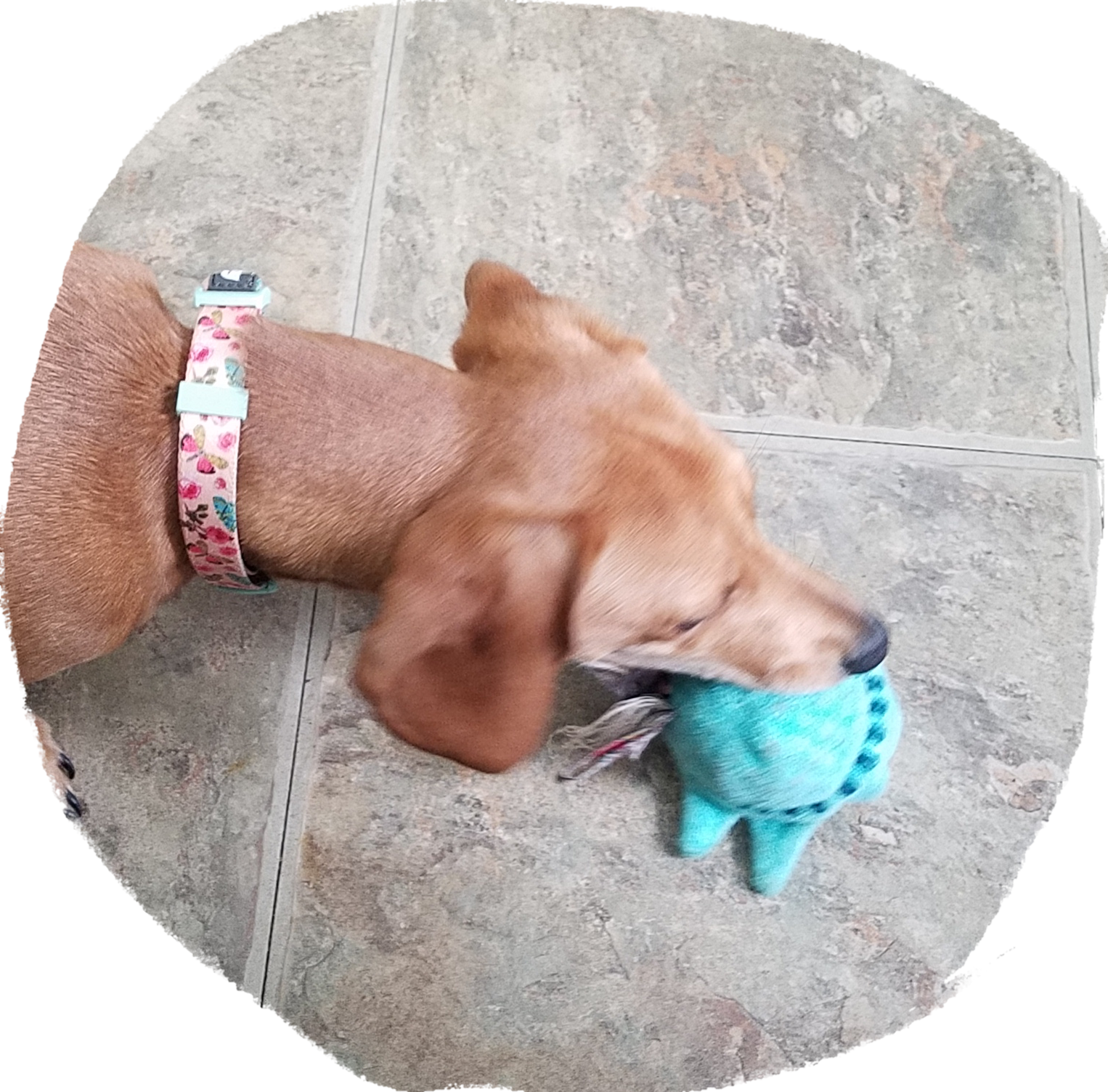 Spiky Plush Lady Liberty Ball Games for Dogs by