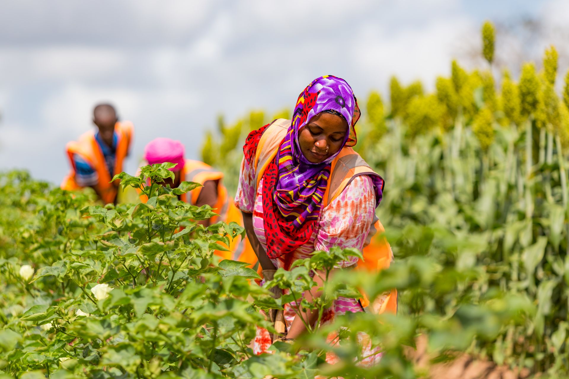 Base-Agriculture-08-2017-HIGHRES-051-_MG_1518
