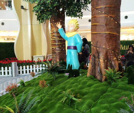 quels sont les personnages que rencontre le petit prince