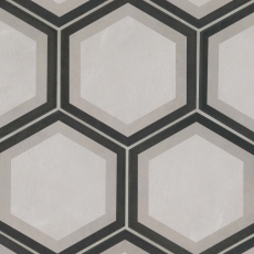 Allora 8.5x10 Hexagon porcelain deco tile in Telaio