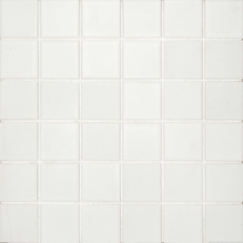 True porcelain 2x2 Mosaic in White