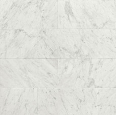 White Carrara 12x24 Honed Marble