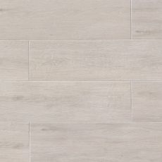 Titus 8x48 wood-look porcelain tile in White