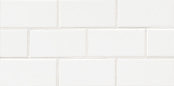 Traditions ceramic tile in 3x6 Ice White Bright