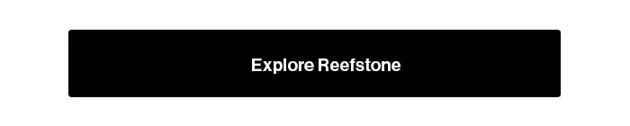 Explore Reefstone