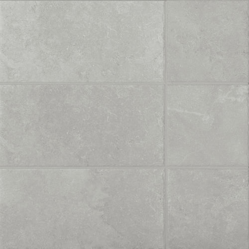 Pietra Ionica 8"x16" Matte Porcelain Tile in Grigio