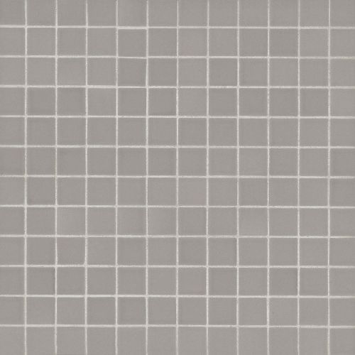 True 1" x 1" Floor & Wall Mosaic in Grey