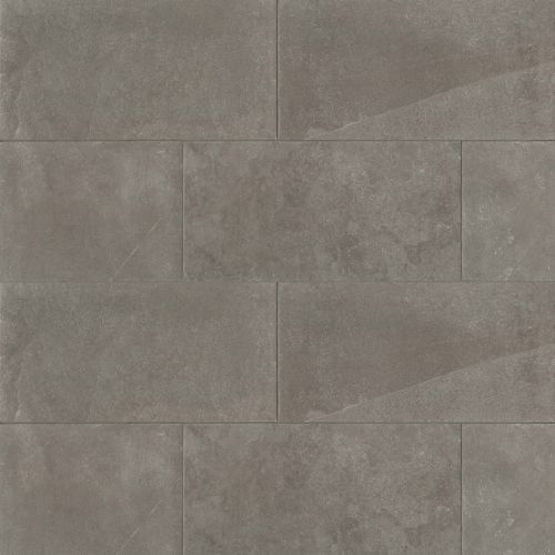 Urban Style 16" x 32" Floor & Wall Tile in Plomb