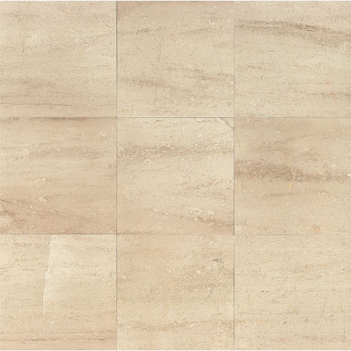 Daino Reale 12" x 12" Floor & Wall Tile