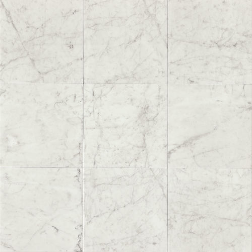 White Carrara 12" x 12" Floor & Wall Tile