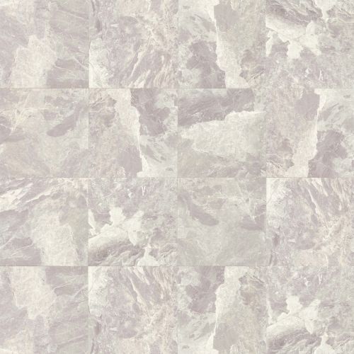 Classic 12" x 12" Floor & Wall Tile in Bardiglietto