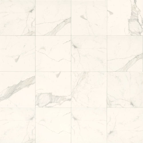 Classic 12" x 12" Floor & Wall Tile in Statuarietto