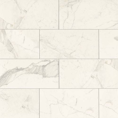 Classic 12" x 24" Floor & Wall Tile in Statuarietto