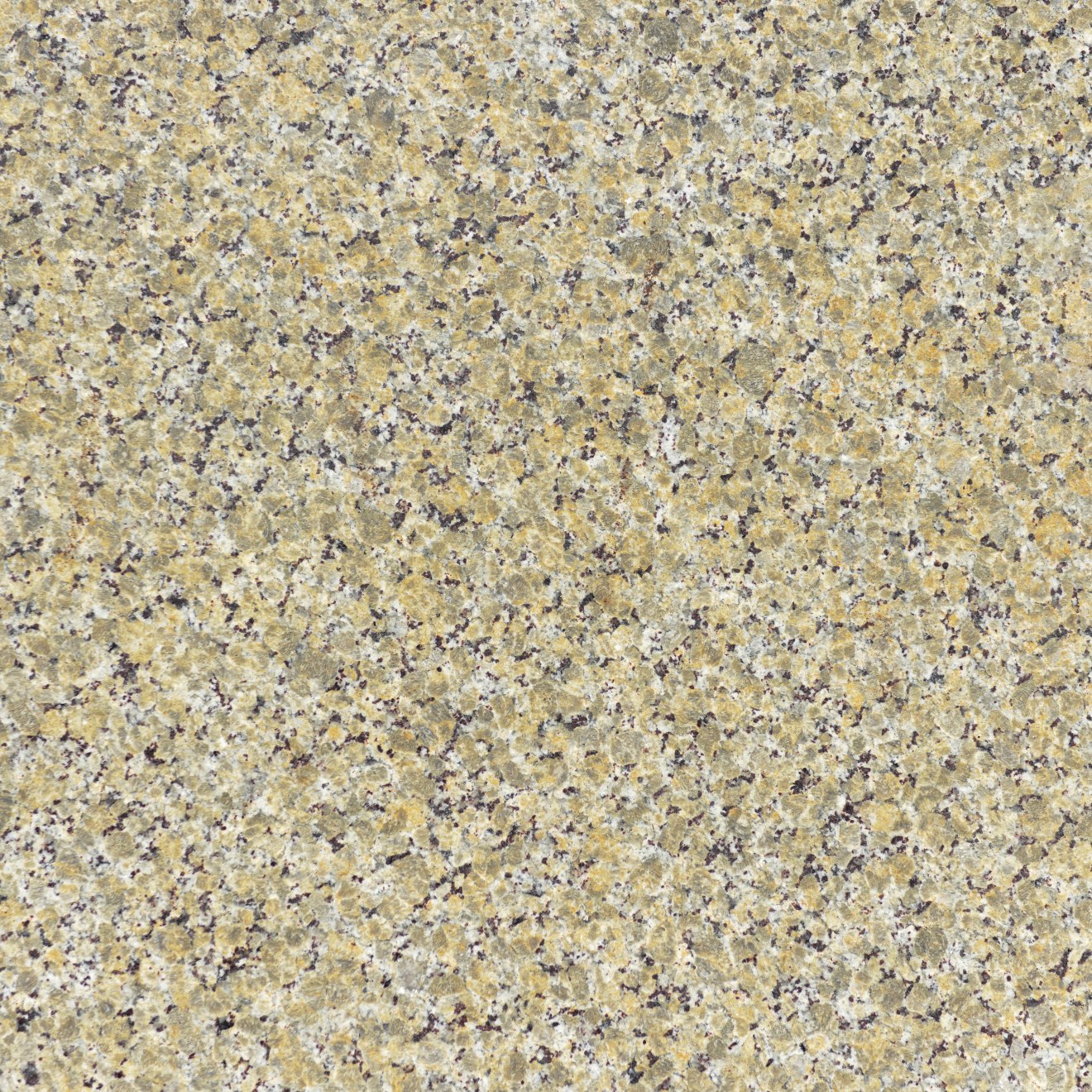 Beige Butterfly Granite In 2 Cm Bedrosians Tile Stone