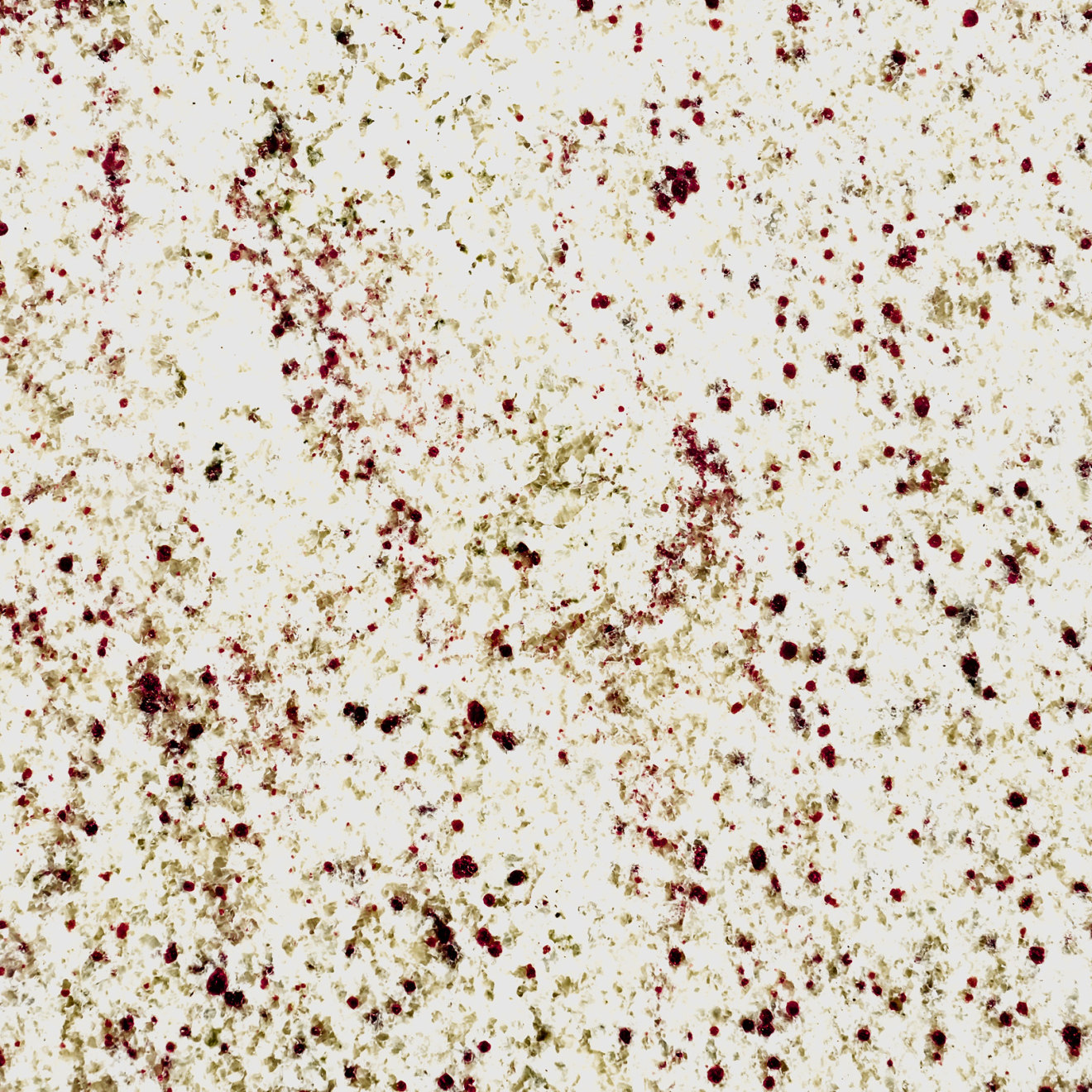 Bianco Romano Granite In 2 Cm Bedrosians Tile Stone