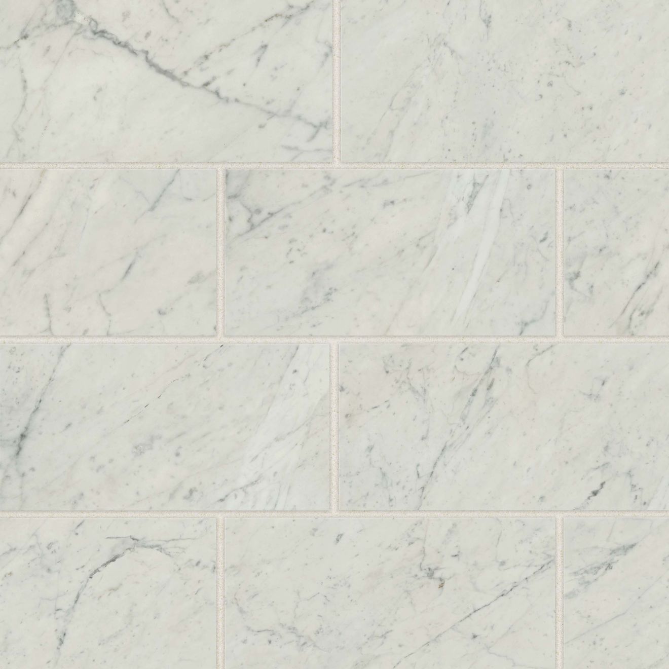 gårdsplads frill Videnskab Classic 2.0 12" x 24" Floor & Wall Tile in Bianco Carrara | Bedrosians Tile  & Stone
