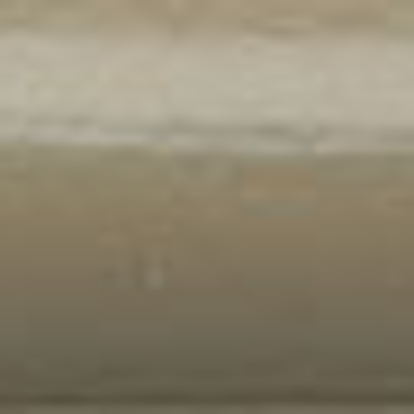 Stix 0.5" x 12" Trim in Sage