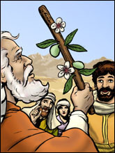 The budding of Aaron's staff