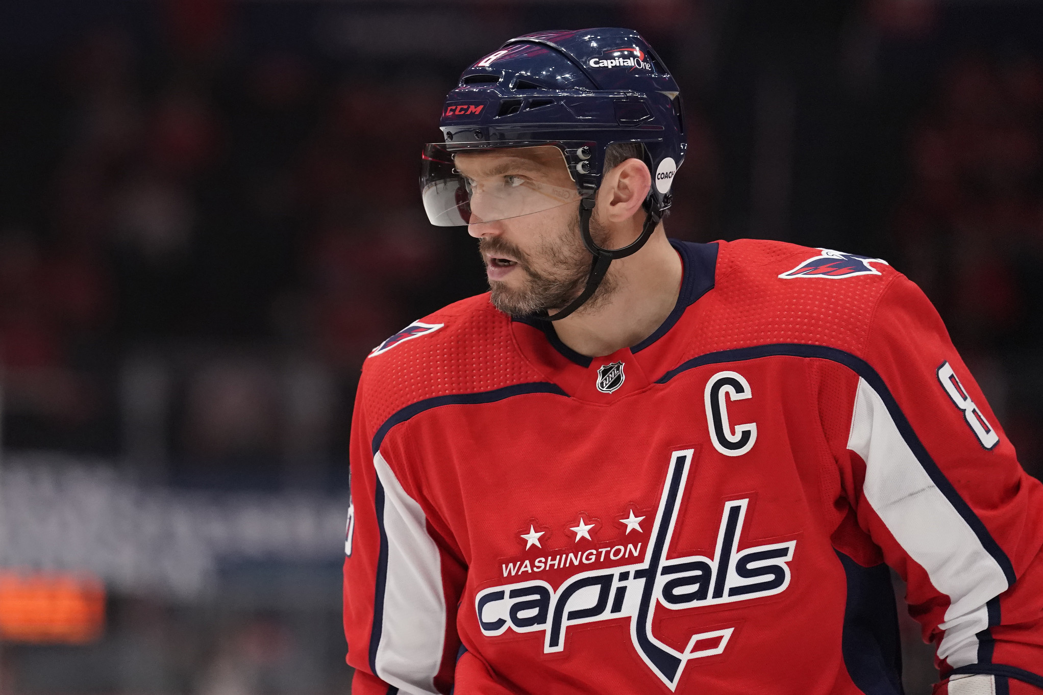 Washington Capitals on X: Getting acquainted #ALLCAPS