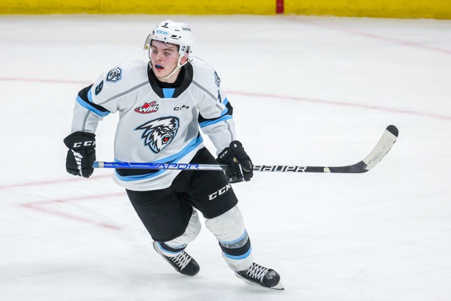 Vancouver Canucks draft defenseman Tom Willander No. 11 overall in