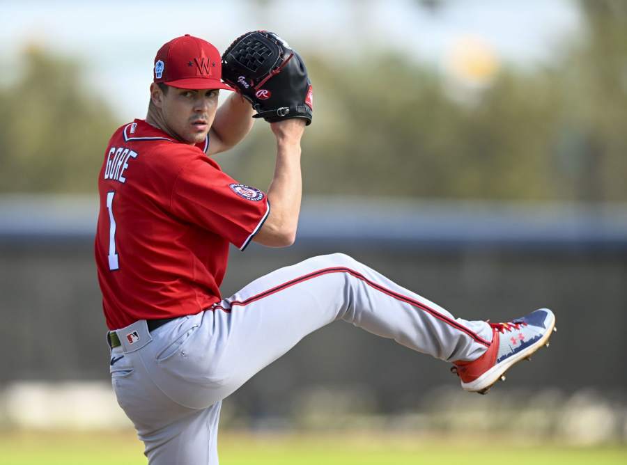 BBFF on X: Max Fried & Lucas Giolito @ Pro Baseball Scouts