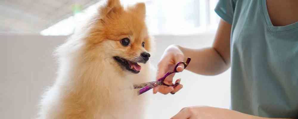 Banner for Testklippet