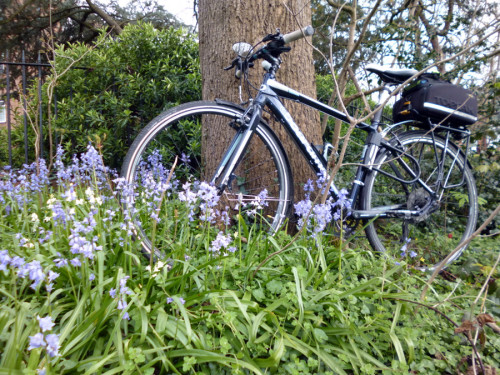 boardman commuter bike