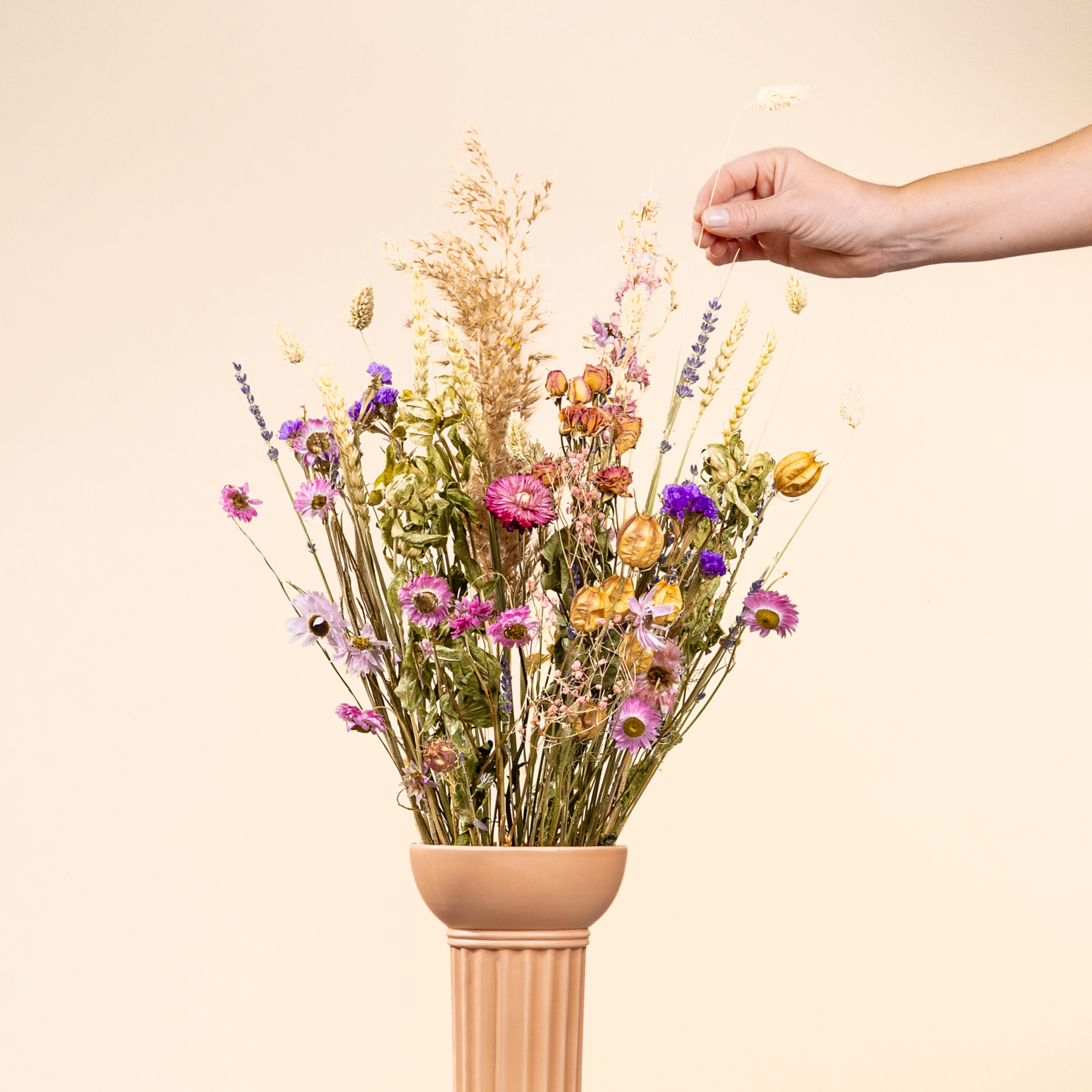 Wildblumen Trockenstrauß