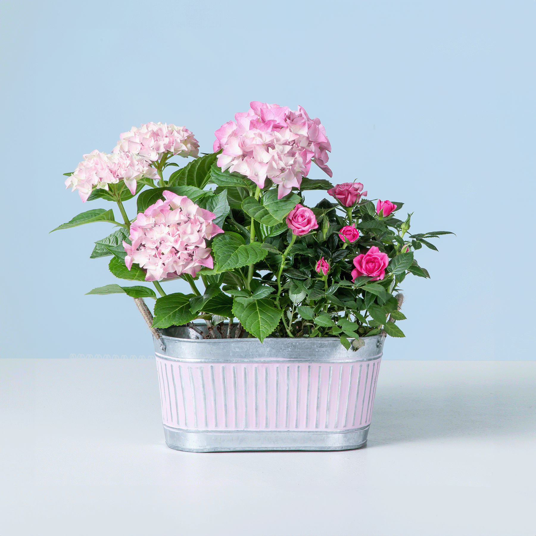 Weltbeste Lieblingsmama