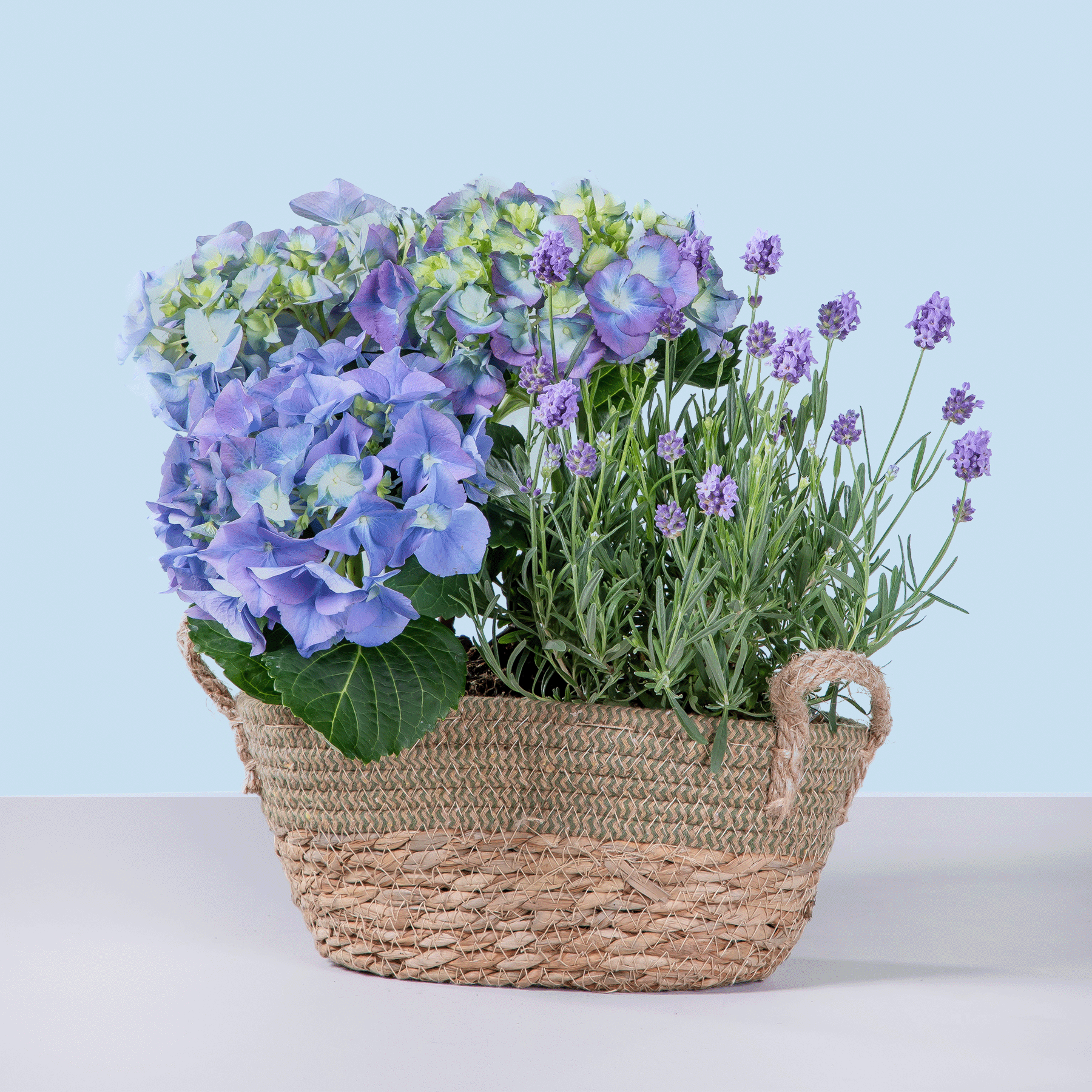 Sommertraum mit Alles Gute Holzschriftzug