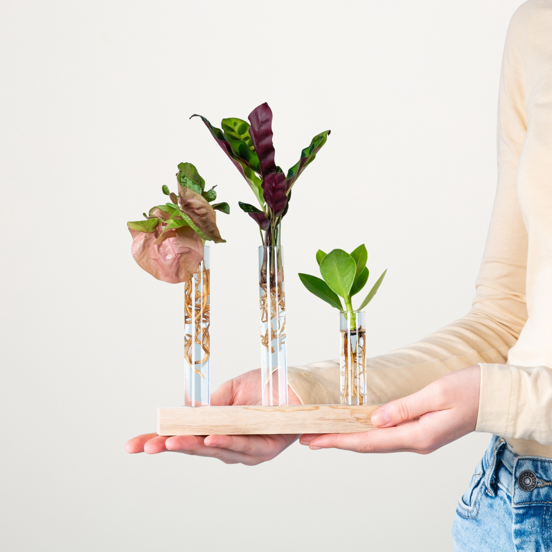 blume2000 Waterplant Reagenzgläser-Set im Angebot | Haus \u0026 Garten, image size:1800x1800