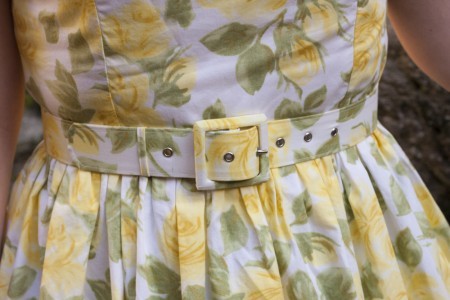 yellow roses-07