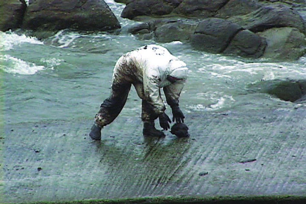 allan sekula the body and the archive