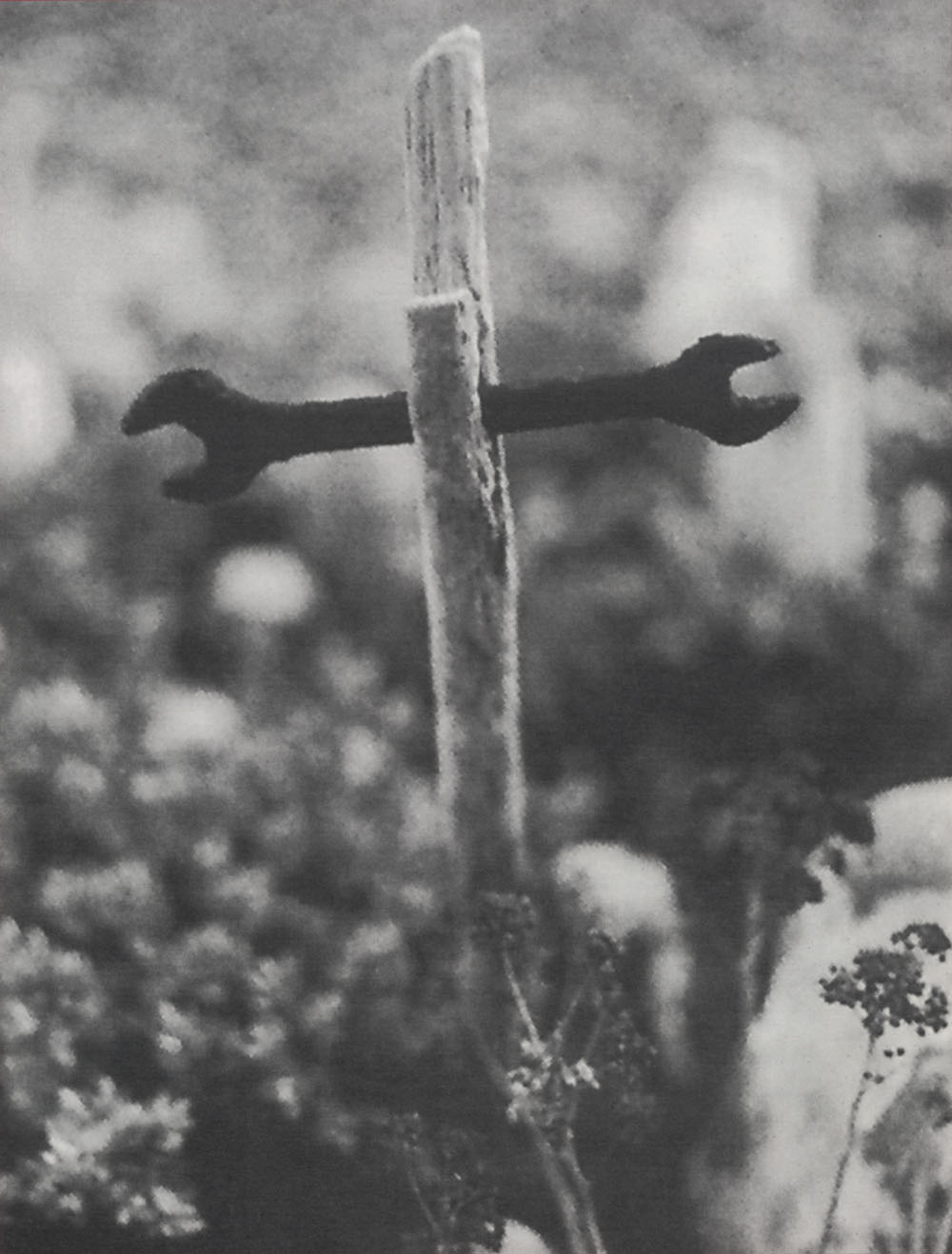 bomb magazine derek jarman s garden by howard sooley bomb magazine derek jarman s garden by howard sooley
