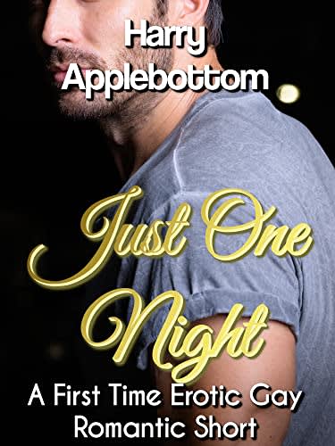 Just One Night A First Time Erotic Gay Romantic Short By Harry Applebottom BookBub
